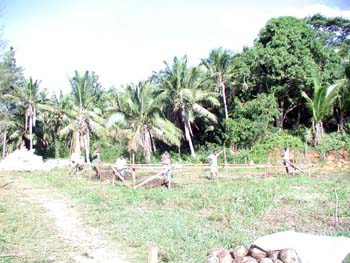 P1010520