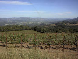 09View