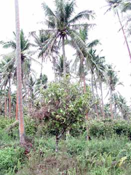 P1010400