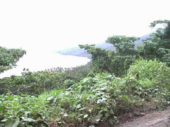 P1010403