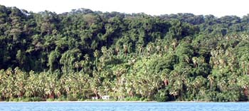 P1010554